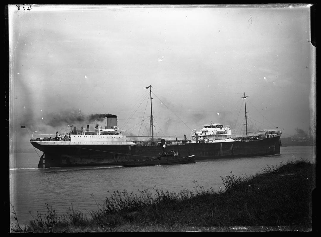 M.V. CIRCE SHELL, glass negative