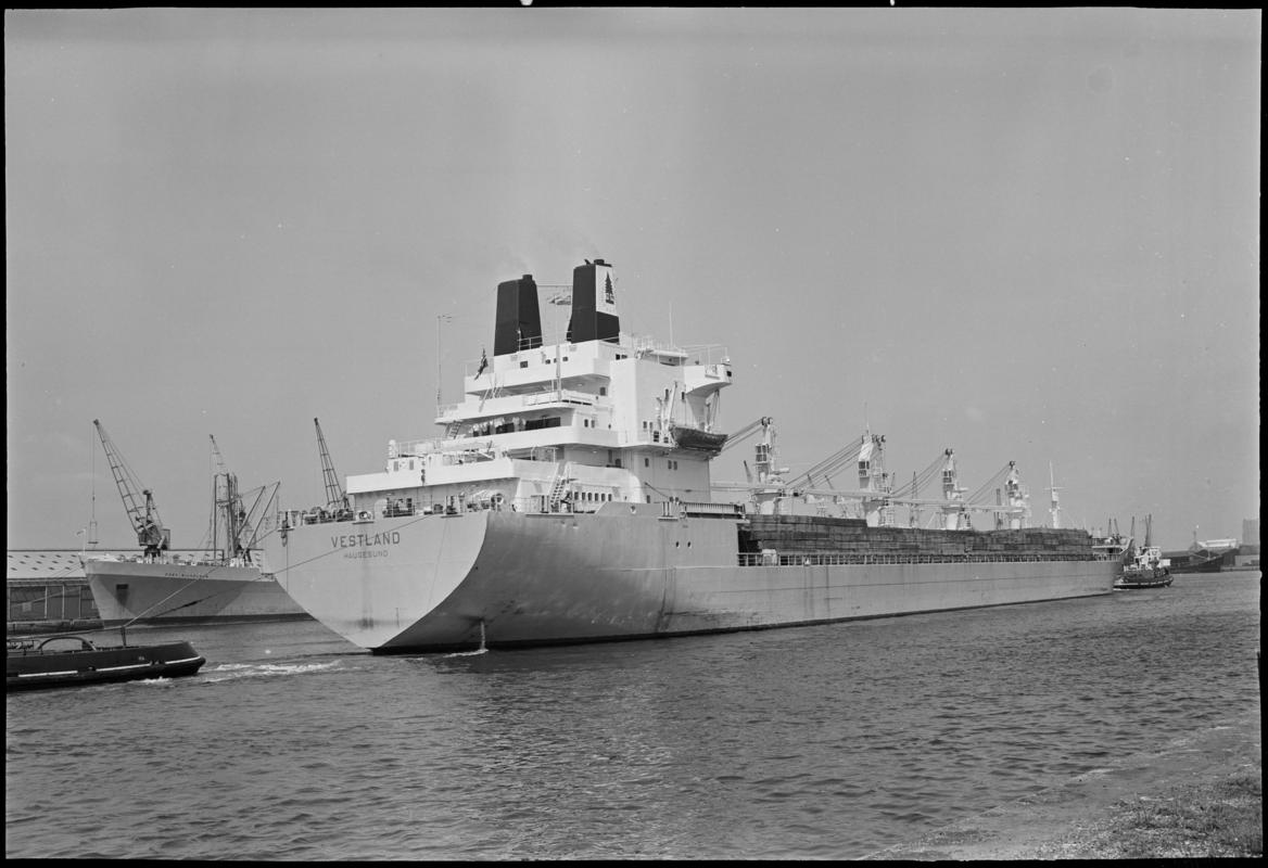 M.V. VESTLAND, negative