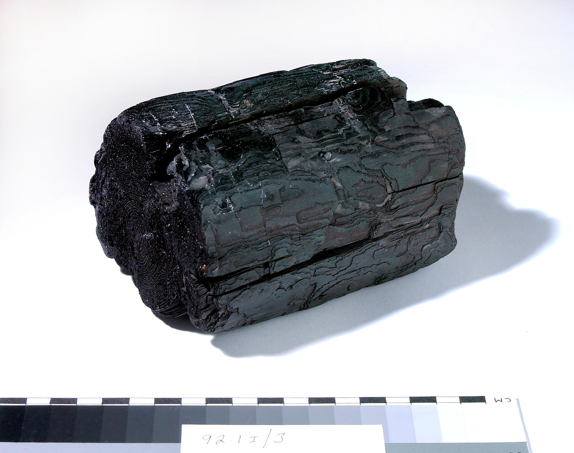Universal Colliery, Senghenydd, piece of pit prop