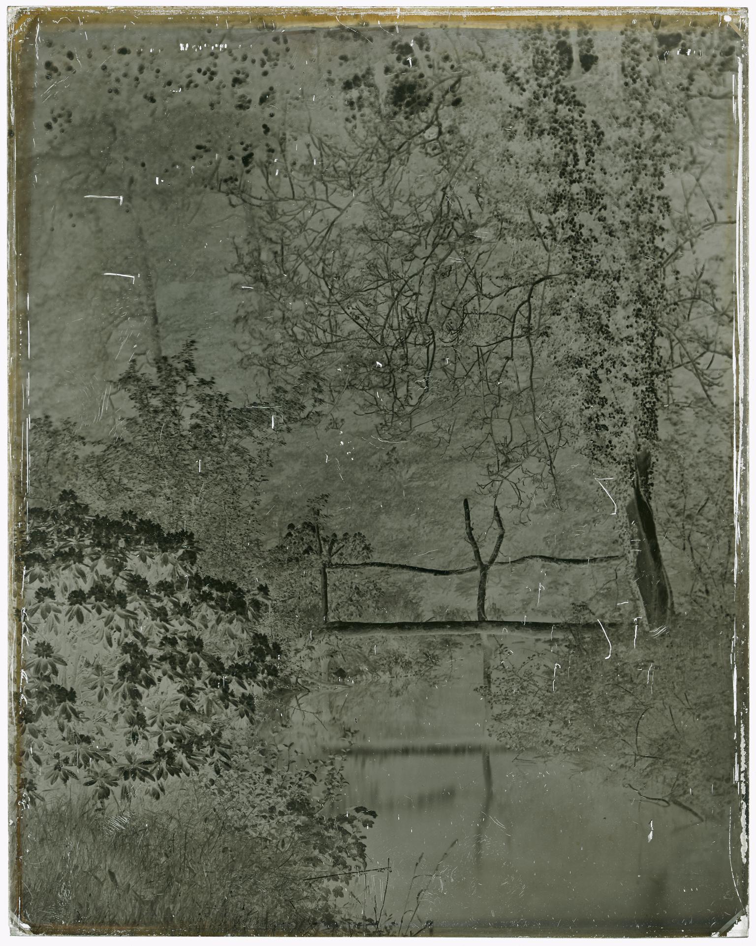 Bridge in the Valley, Penllergare (glass negative)