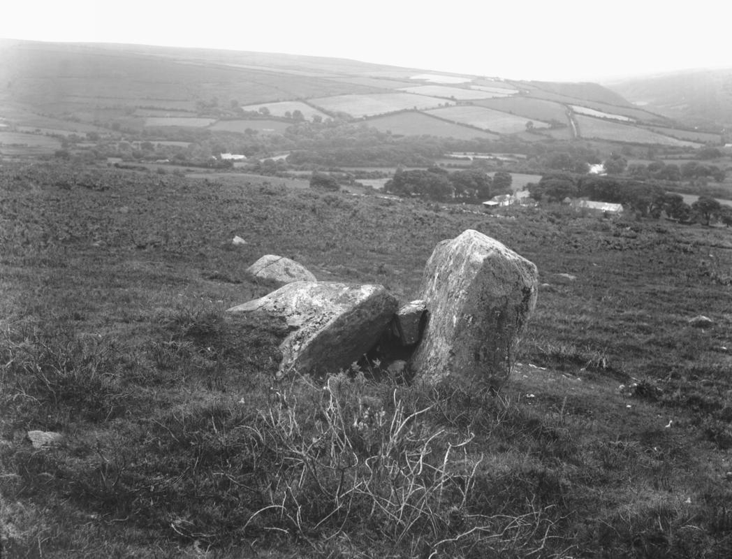 Photographic Negative