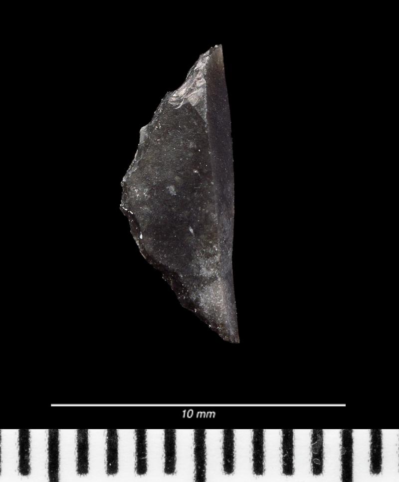 Late Mesolithic flint microlith