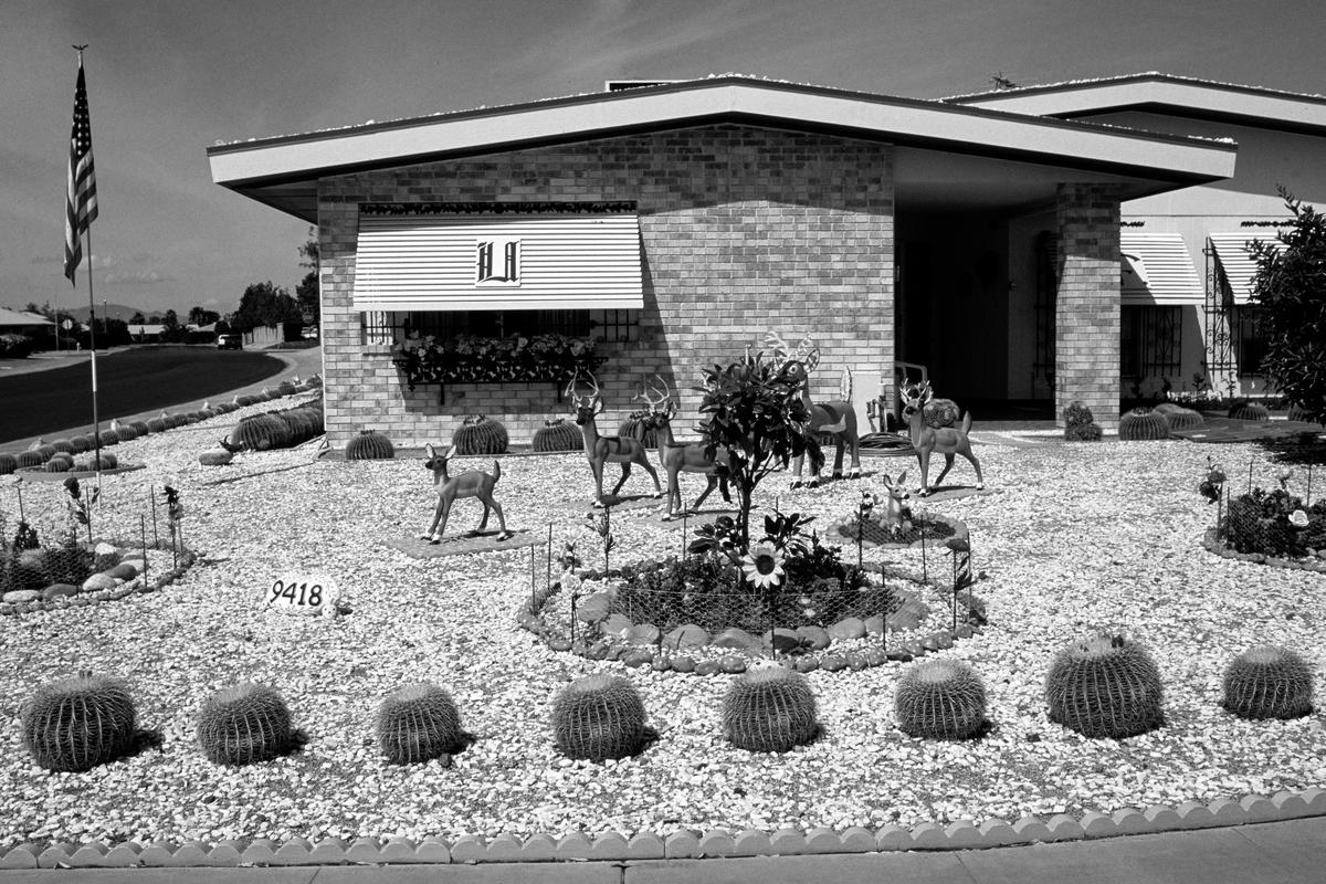 USA. ARIZONA. Sun City. Desert Front Garden. 1992