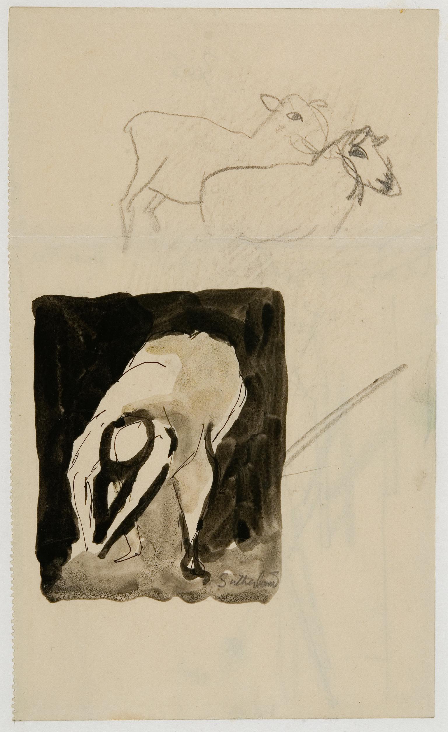 Drawing of sheep and figure
