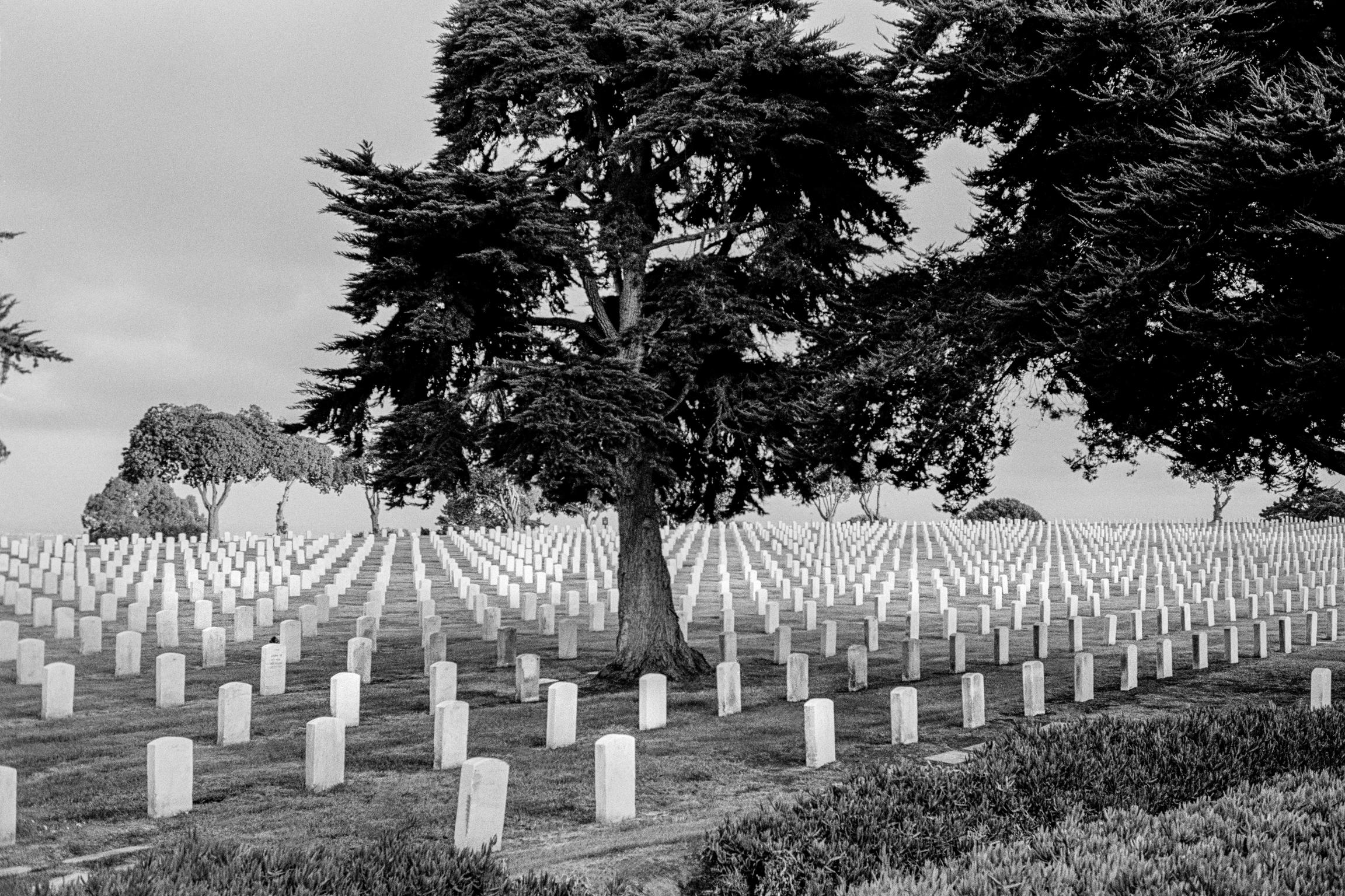 Fort Rosecrans National Cemetery. The federal military cemetery in the edge of the city. San Diego. California, USA