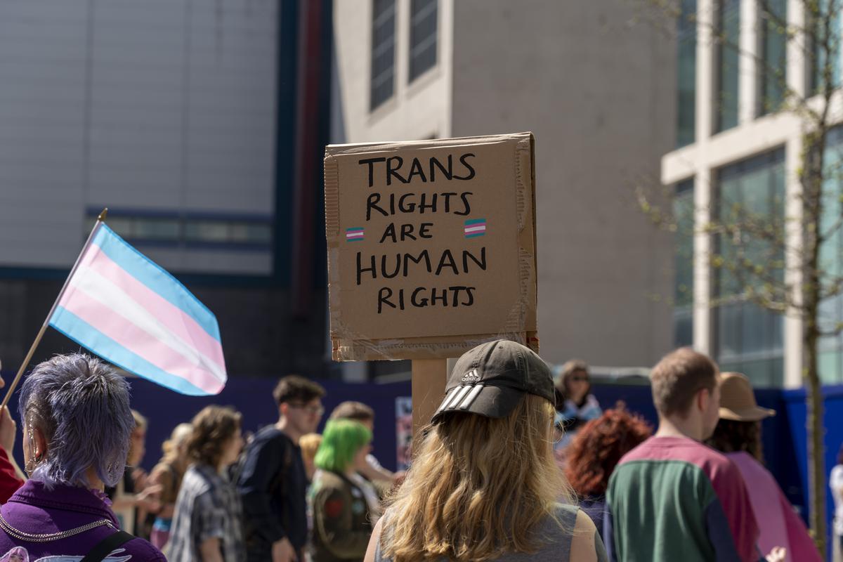 Ffotograff (digidol) | photograph (digital)