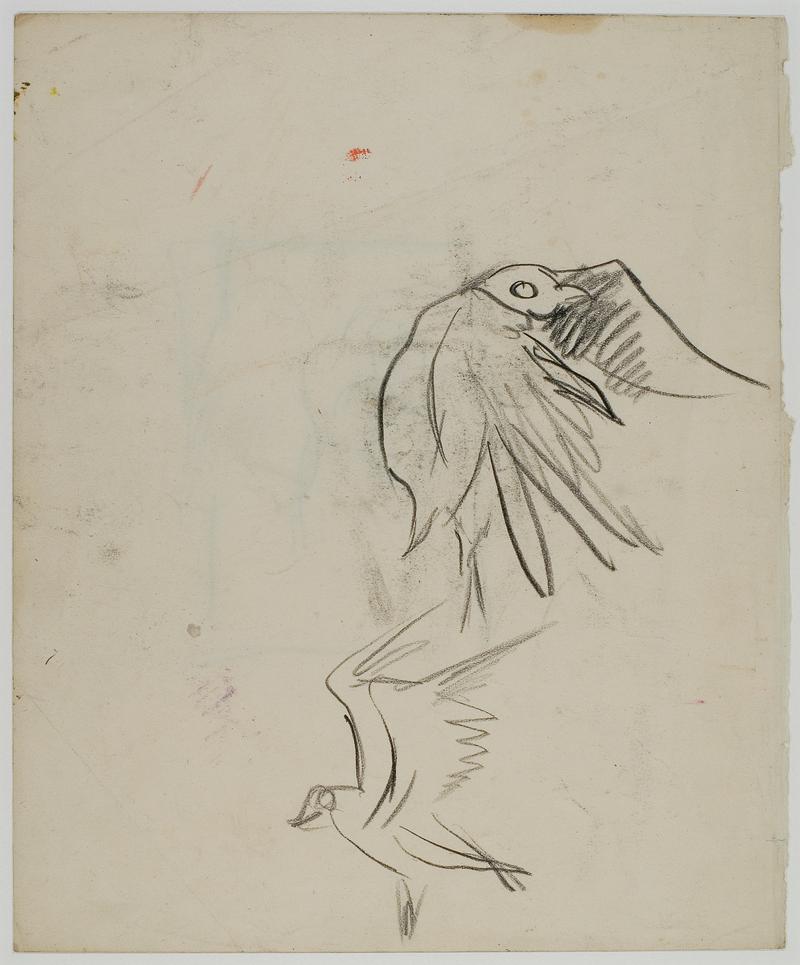 Study for Eagle
