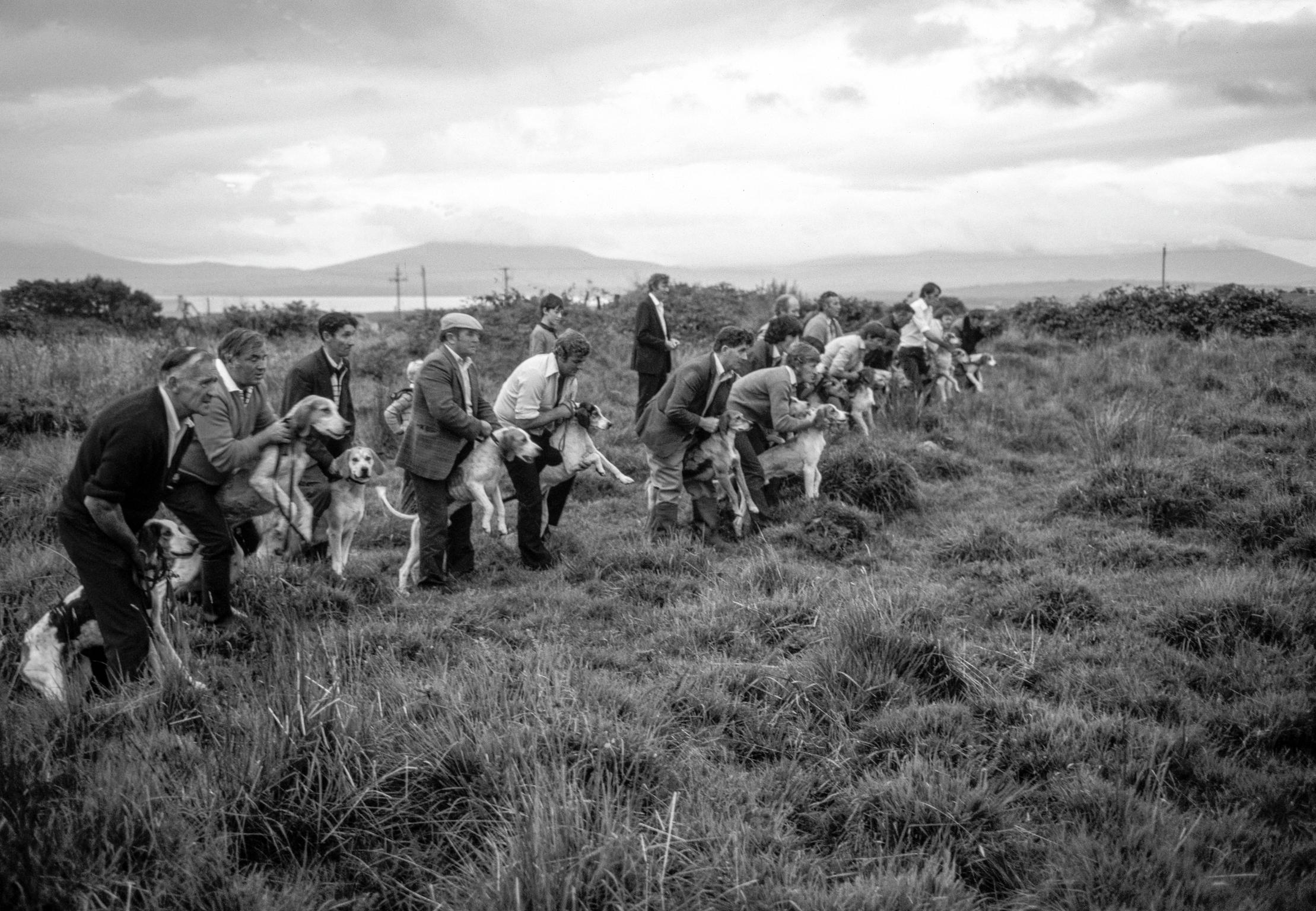 Drag hunt. A trail of Aniseed and Paraffin is laid over 11 miles of mountainside over which the Beagles race. Killarney. Ireland