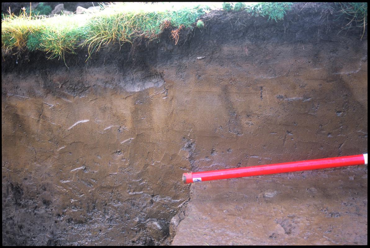 Burry Holms, Gower. 2001 Trench 4. Section at the south of the trench. Sequence shot 6.