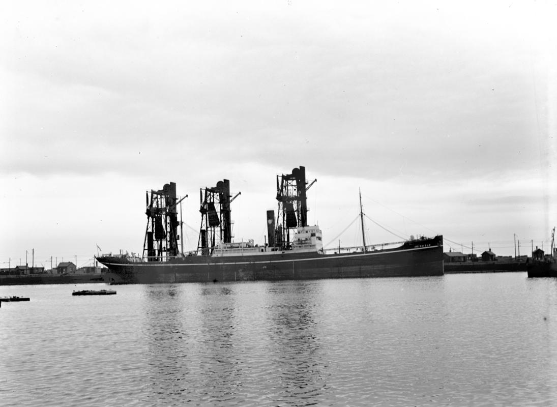 S.S. IRISH ELM, glass negative