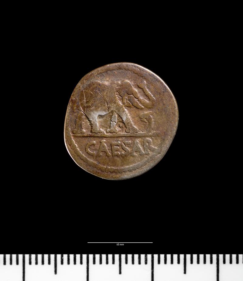 Denarius  - Caesar (rev.)
