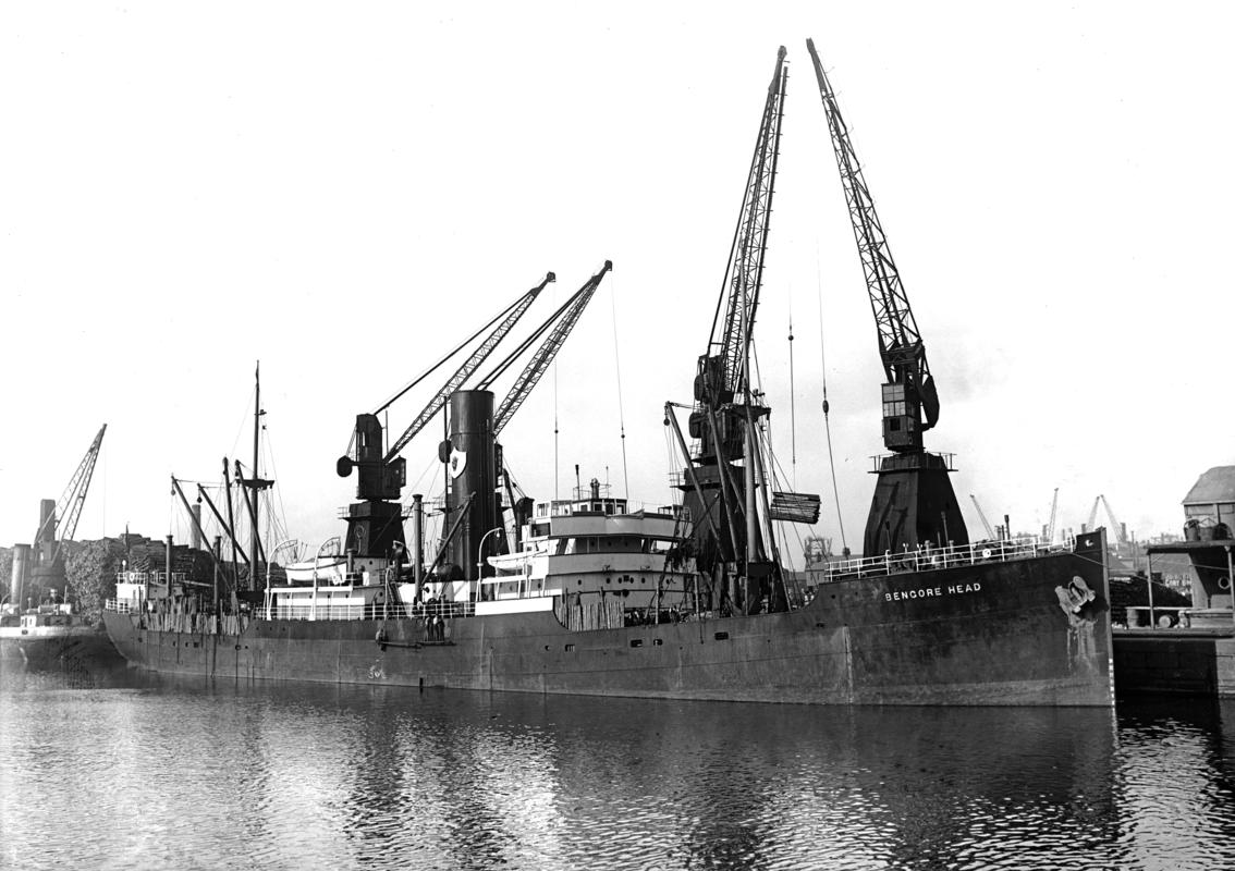 S.S. BENGORE HEAD, glass negative