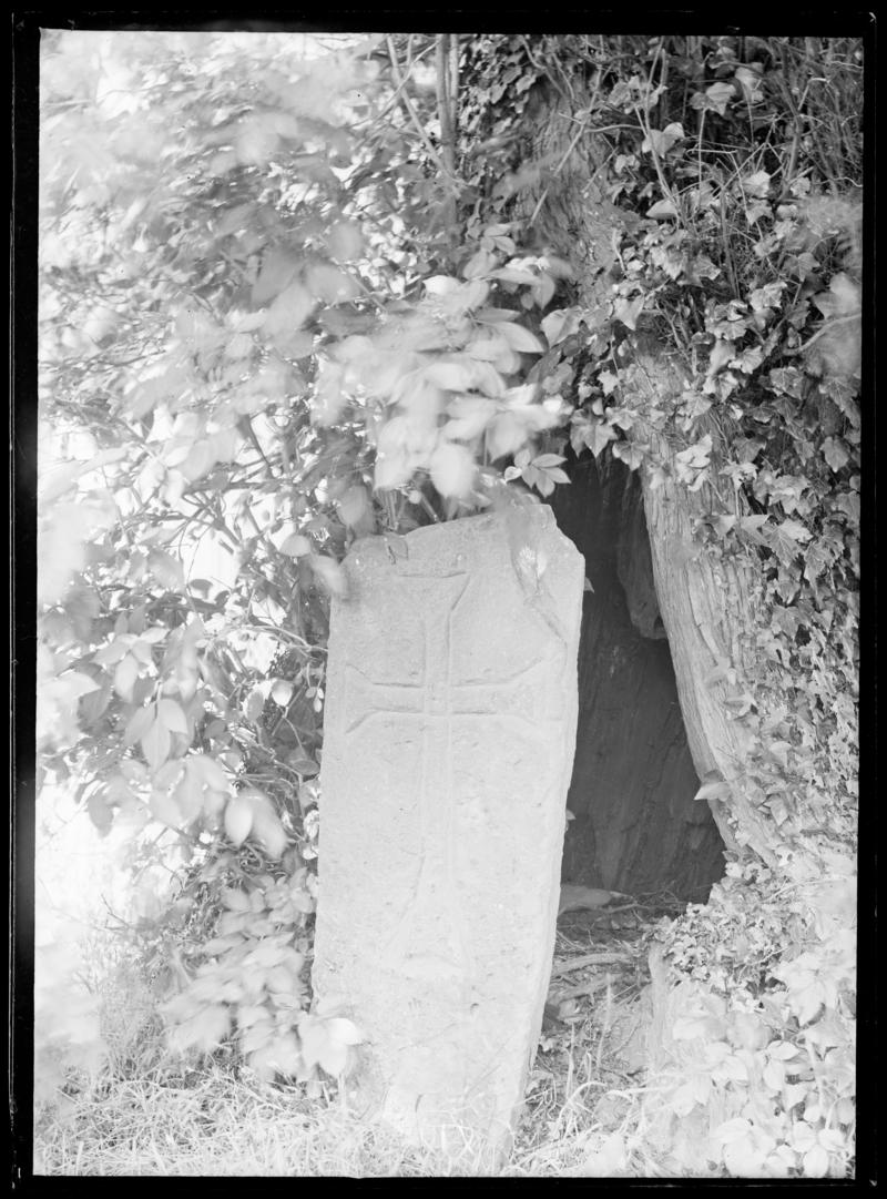 Photographic Negative