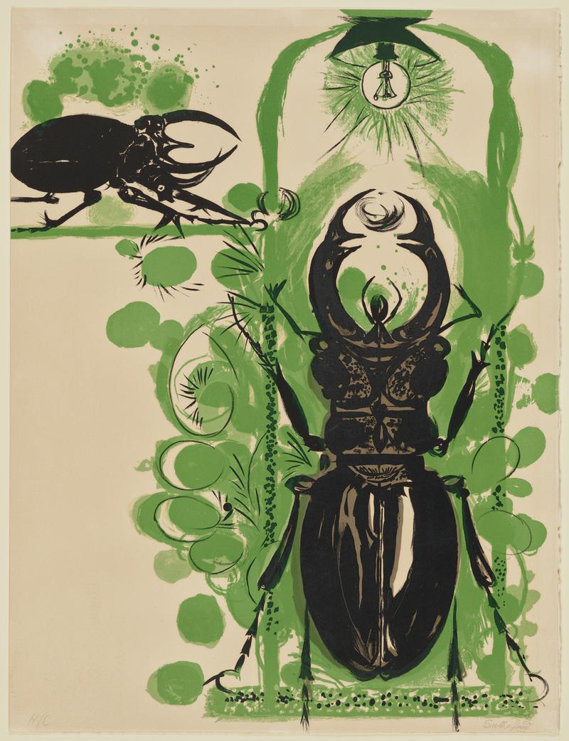 Beetles II