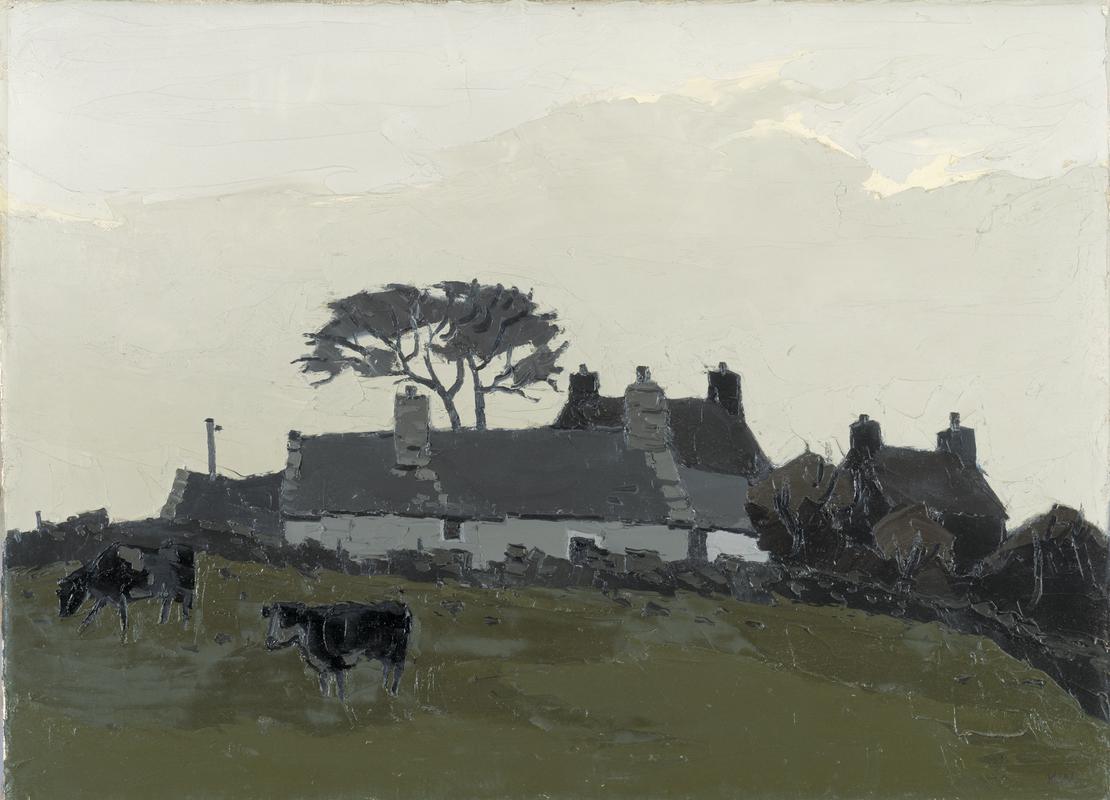 Anglesey Cottages with Cattle