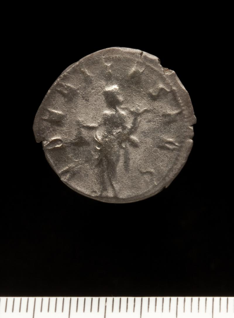 Sully Hoard I (1899)