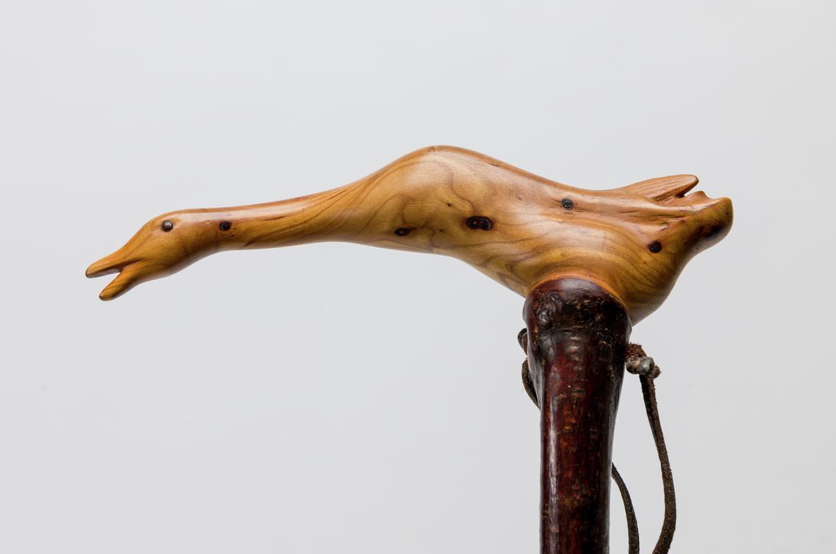 Walking stick