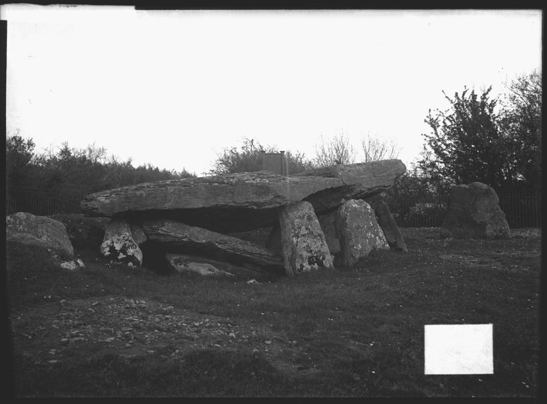 Photographic Negative