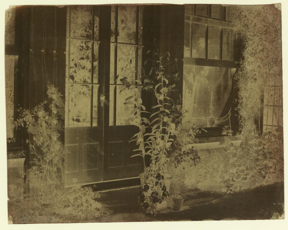 Penllergare, garden, negative