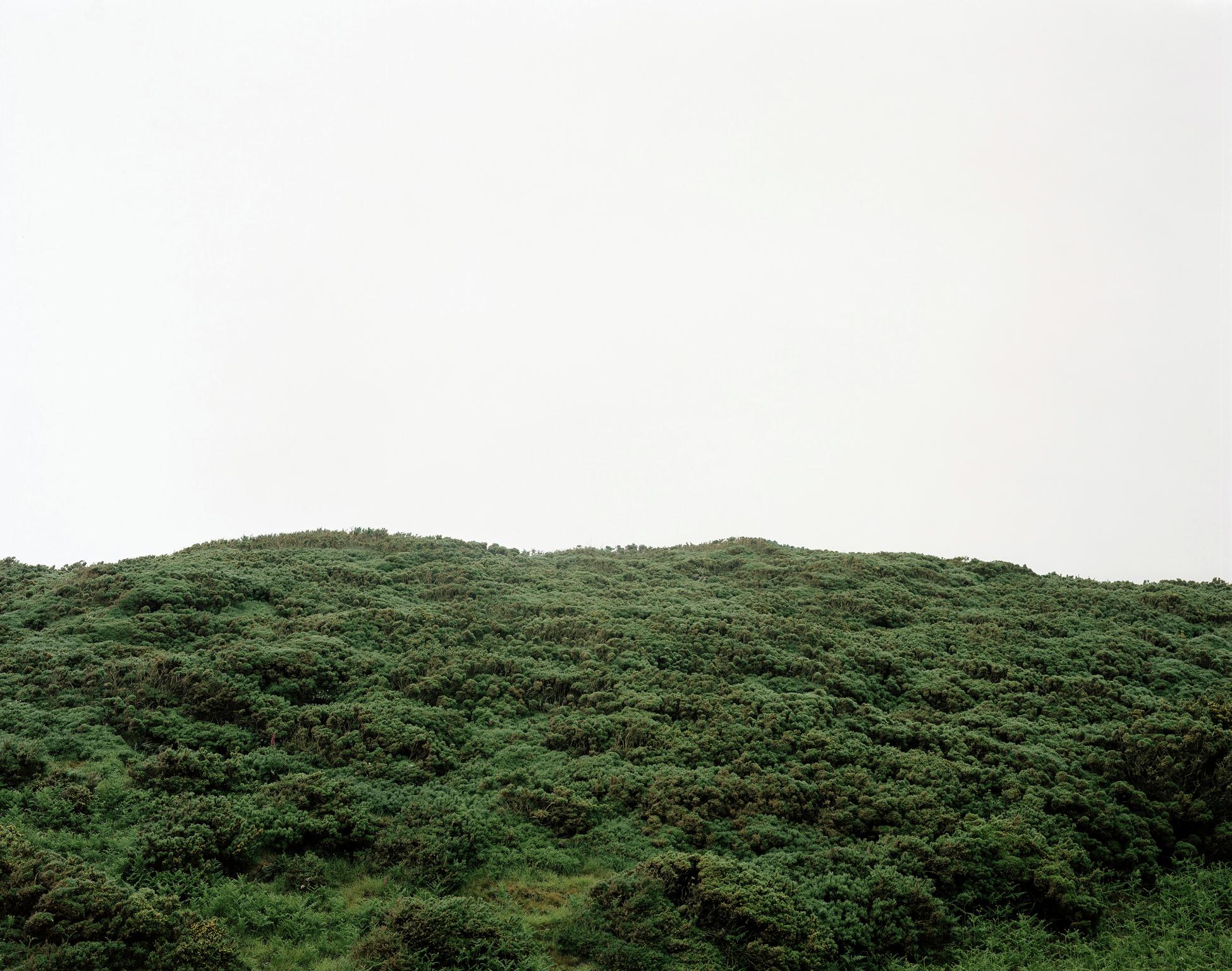 Green Gorse, Cwm Gwyllog, Ffynnonofi, Pembrokeshire