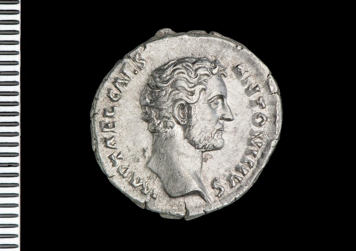 silver denarius (obv.)