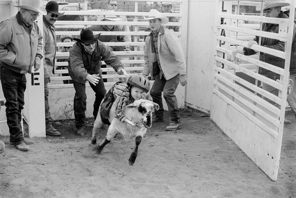USA. ARIZONA. Buckeye. Very junior rodeo event during the Buckeye Senior Rodeo. 2002.
