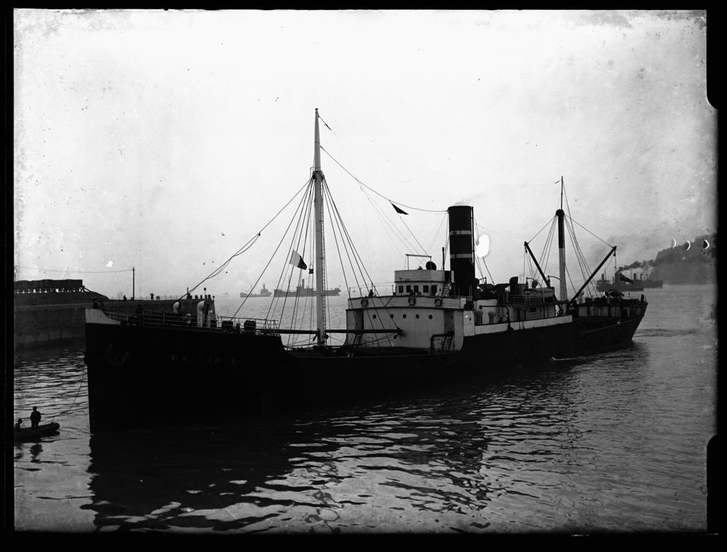 S.S. WALDINGE, glass negative