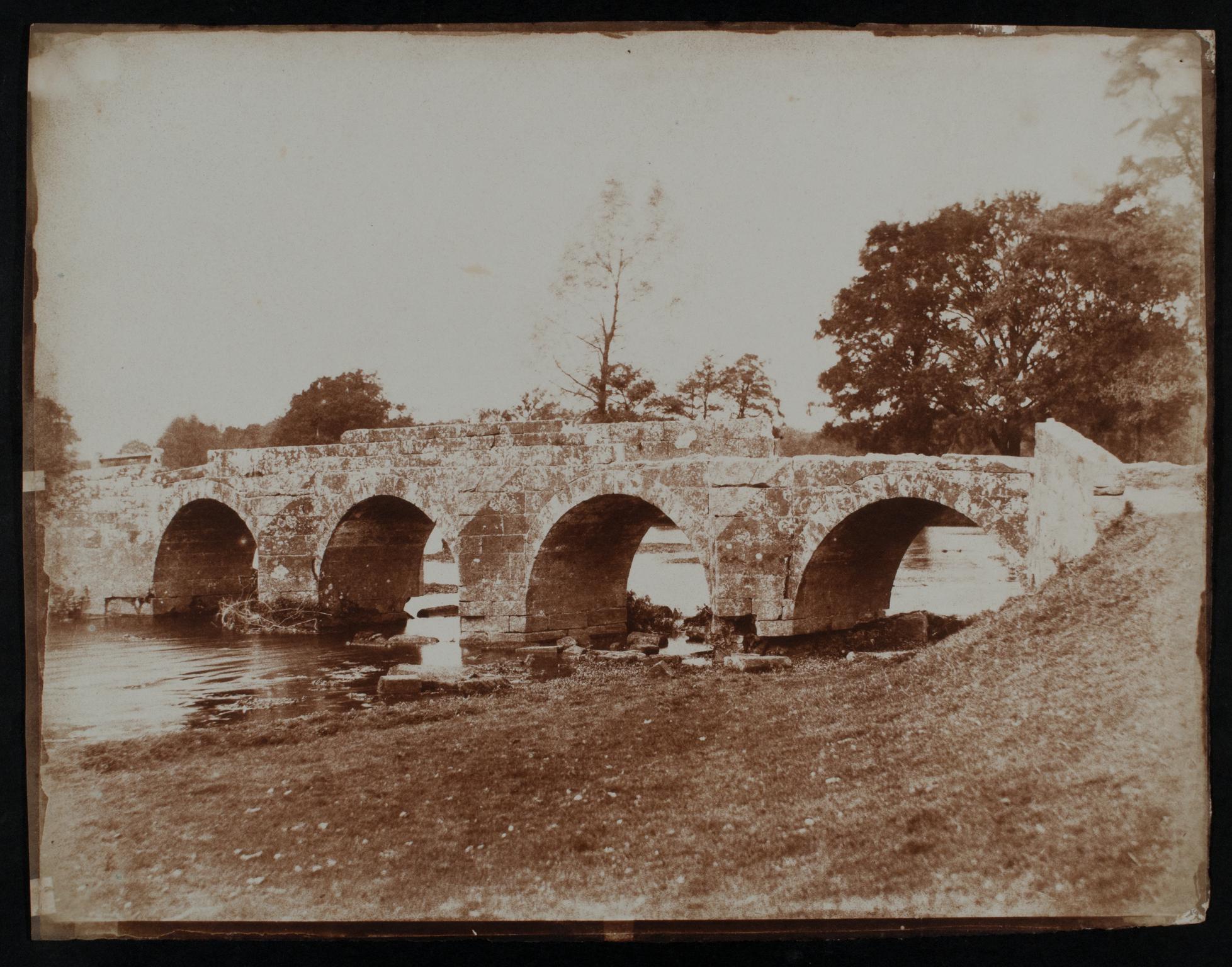 Bridge, photograph