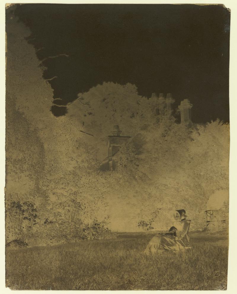 Thereza Llewelyn at Lanelay, negative