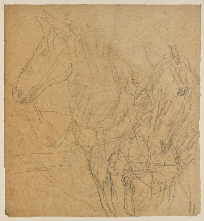 Horses in Harness