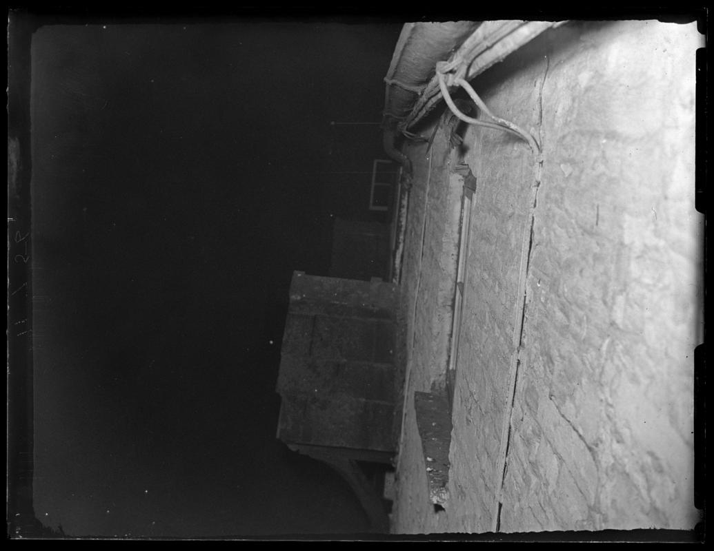 Swift in flight, glass negative