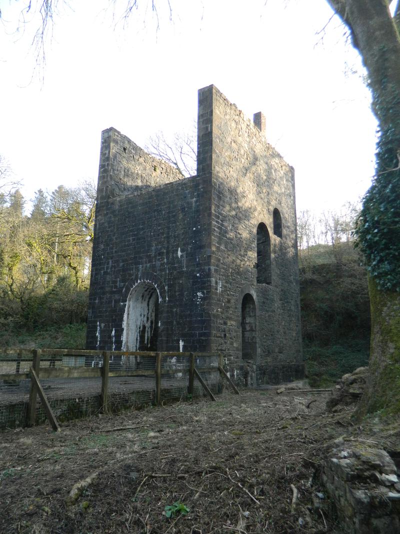 Grove Colliery, Stepaside: pumping engine house viewed from north west.