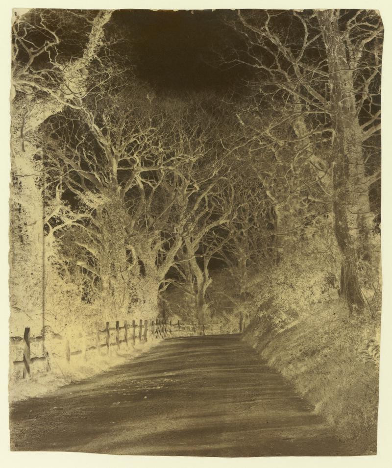 Penllergare, drive, negative