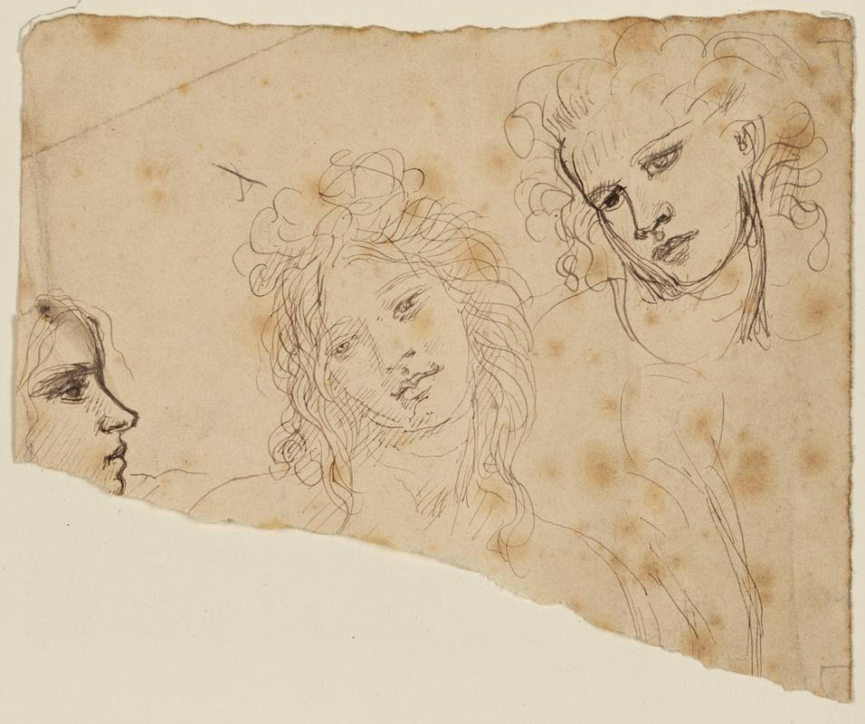 Heads of Three Women