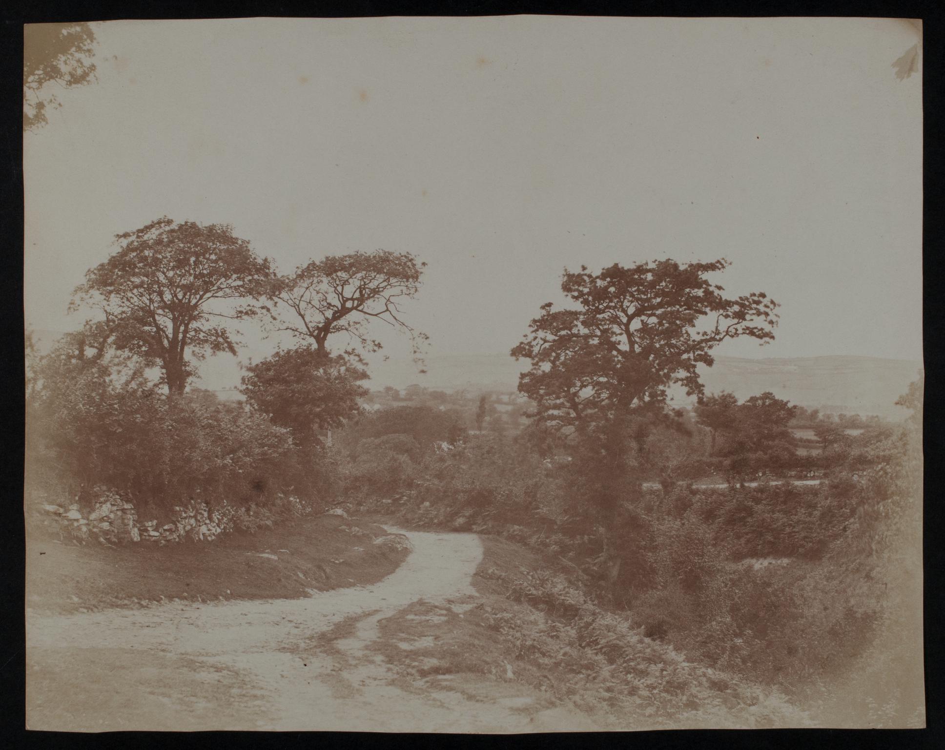 Country path, photograph