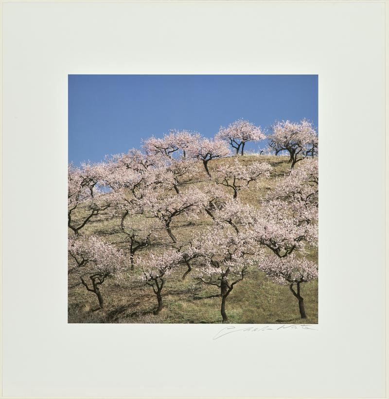 Las Apujarras, Spain