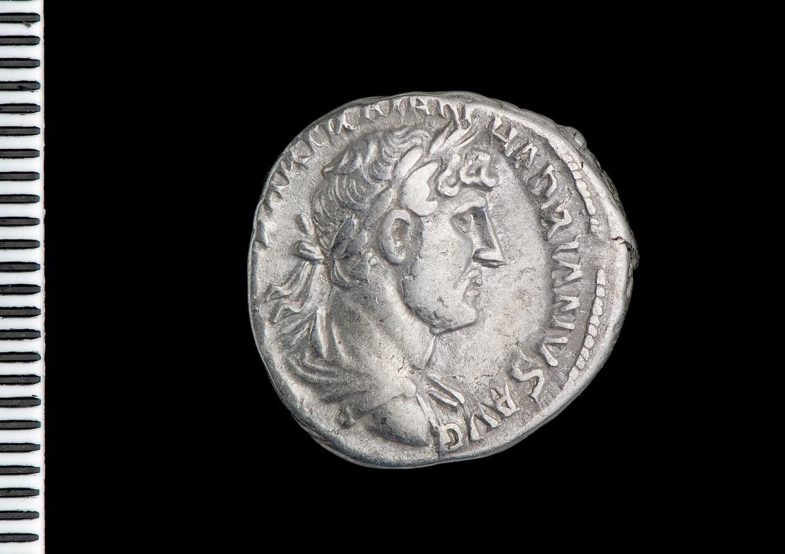 silver denarius (obv.)