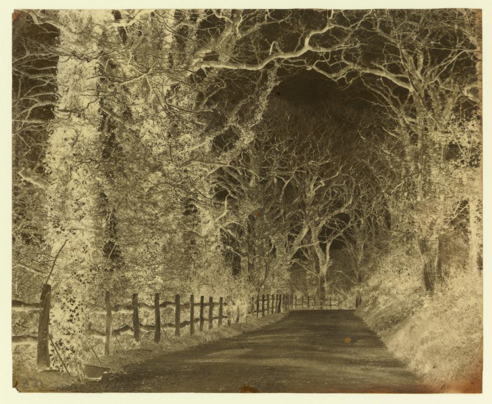 Penllergare, drive, negative