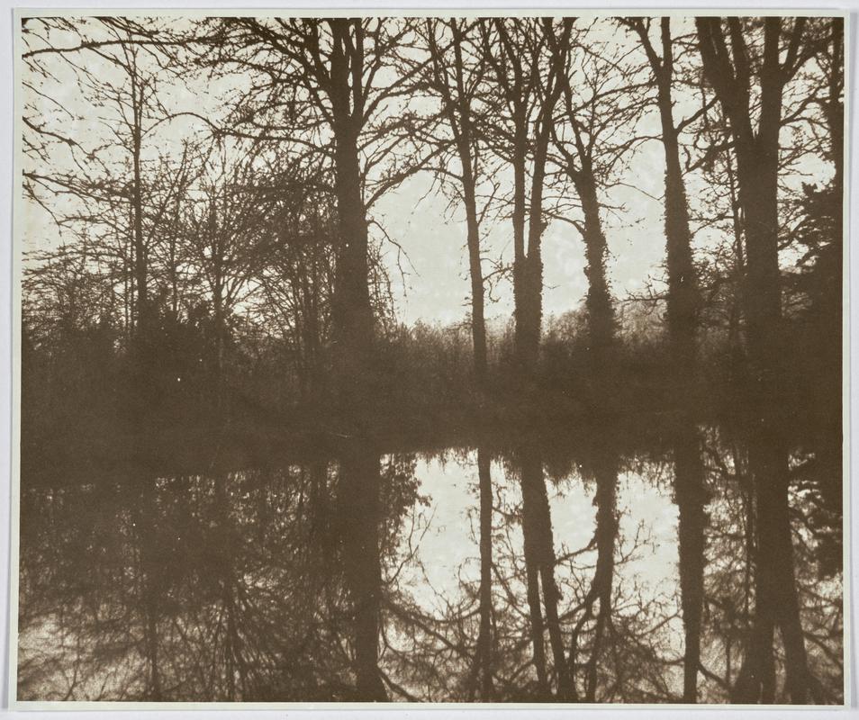 Unknown (landscape - Pond) [Modern Print]