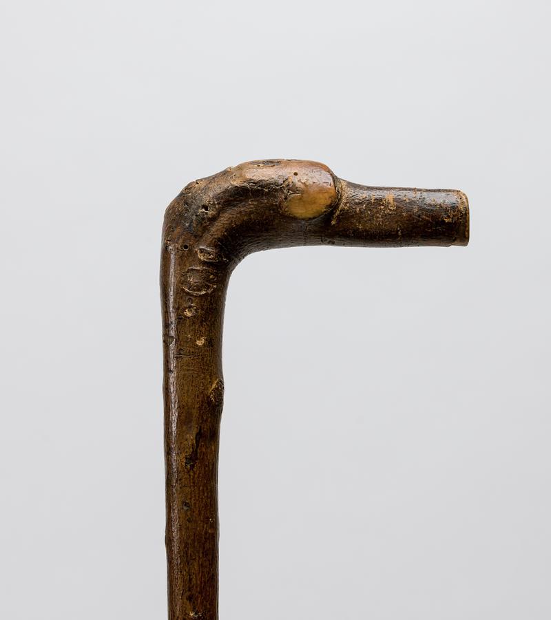 Walking stick
