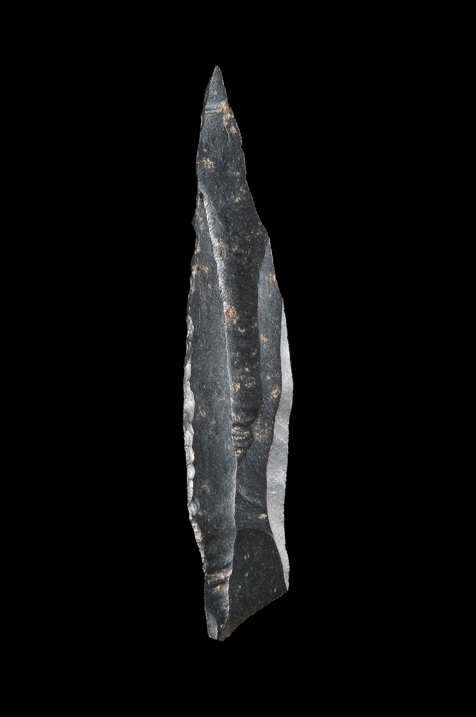 Mesolithic chert microlith