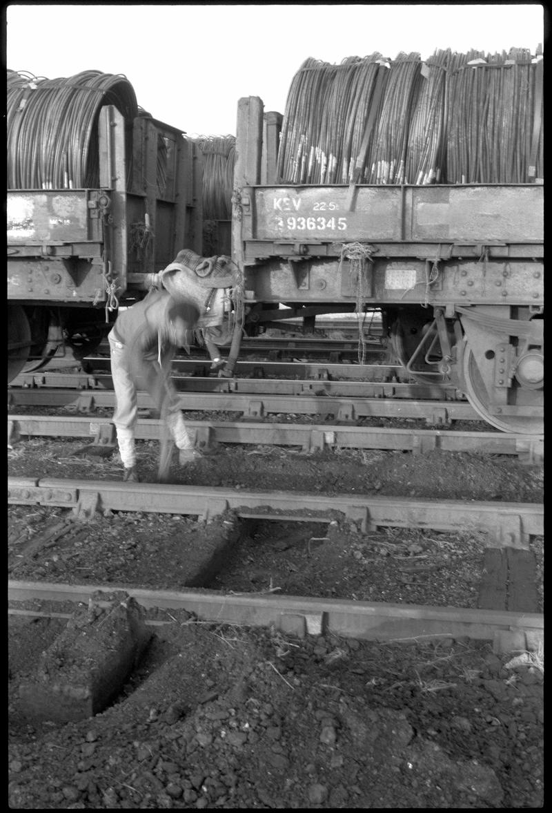 Queen Alexandra Dock, Cardiff, negative