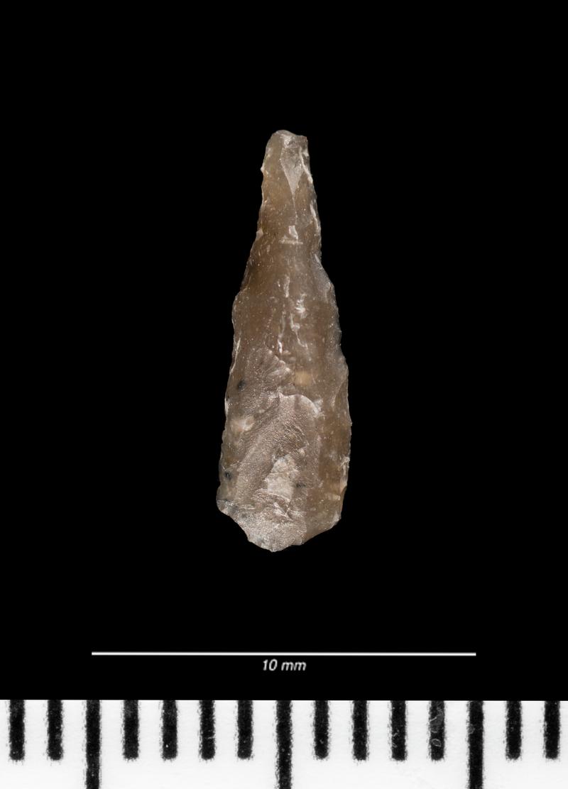 Late Mesolithic flint microlith