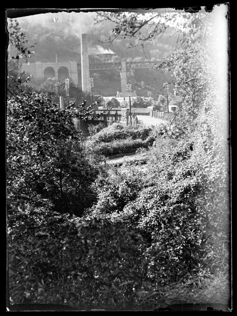 Taff's well, glass negative