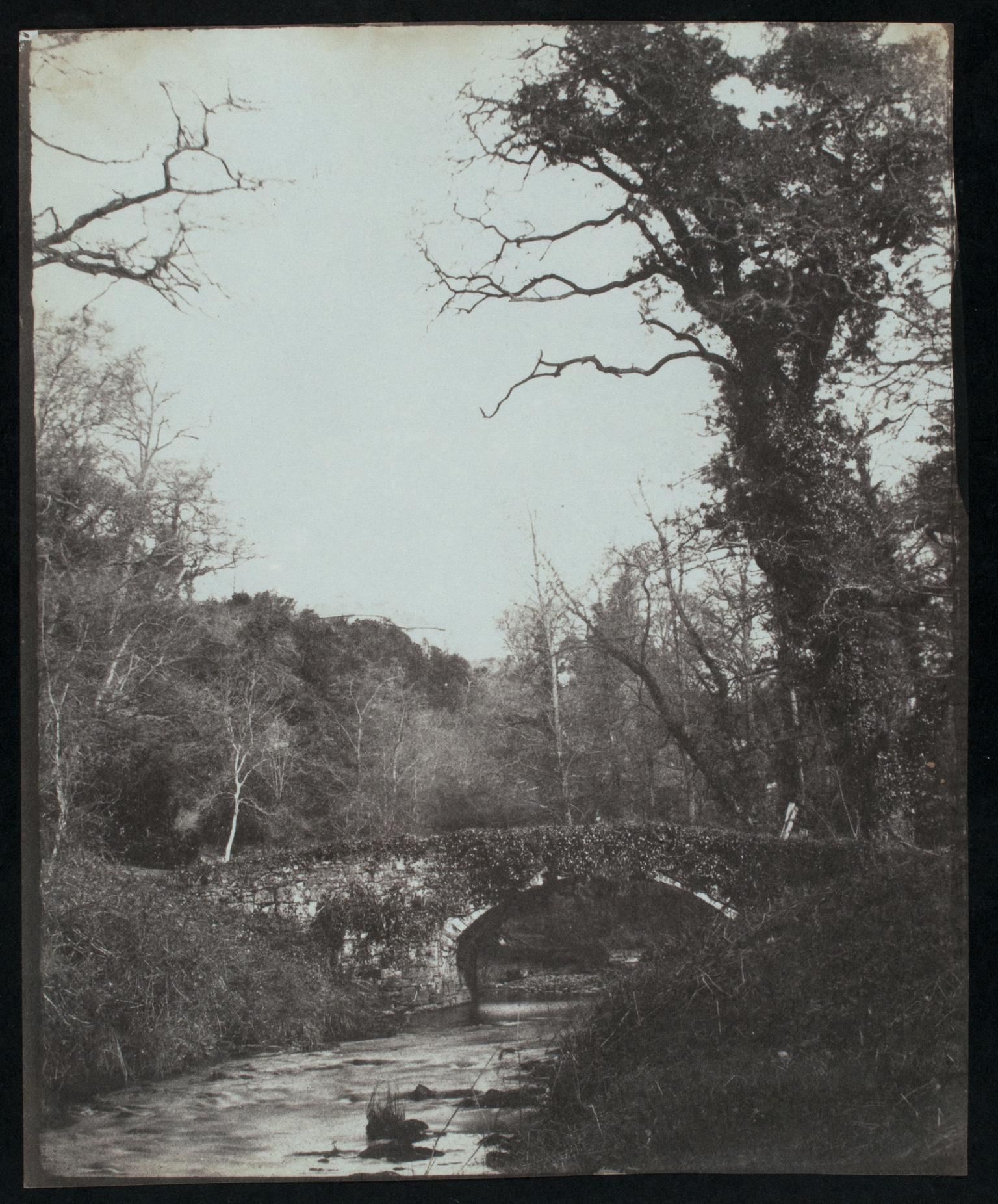 Penllergare, in the valley, photograph