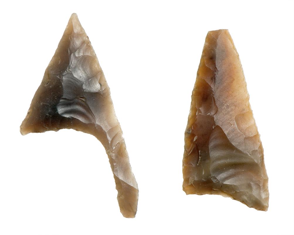 Oblique arrowheads