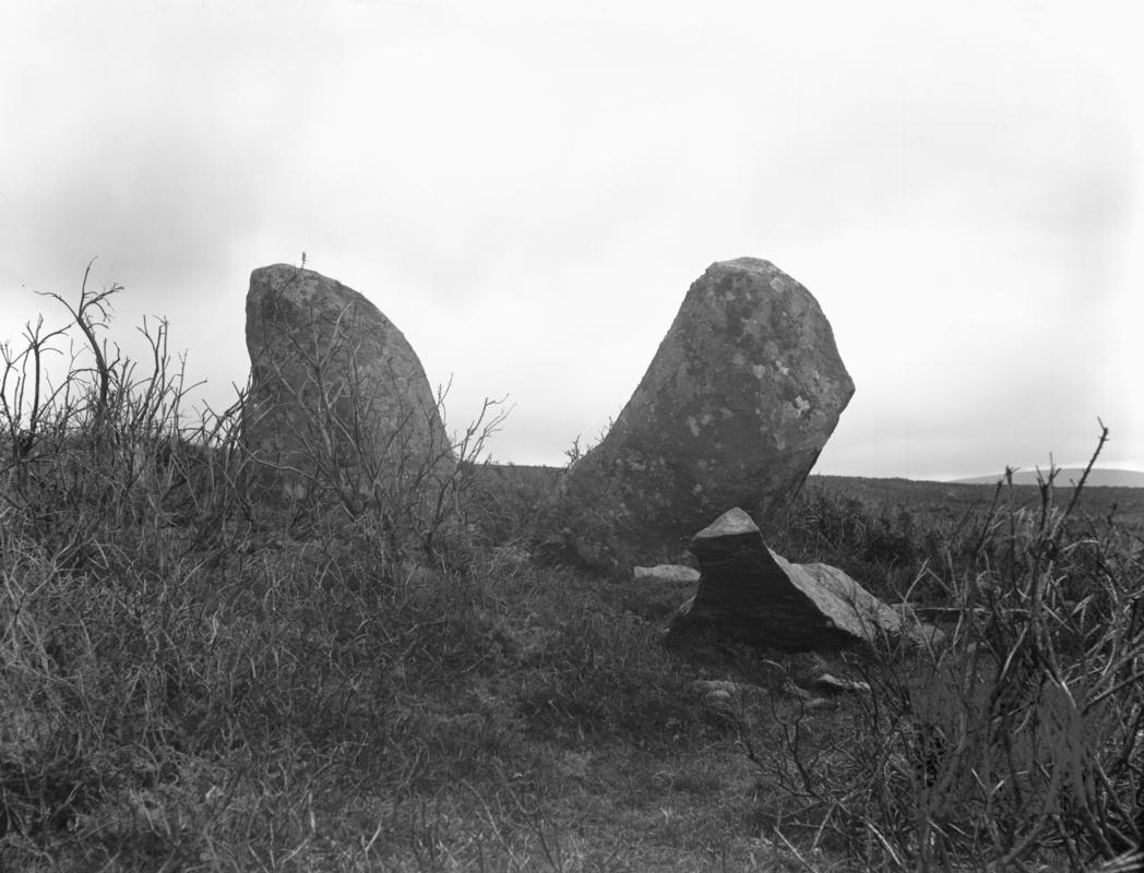 Photographic Negative