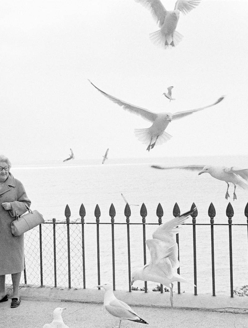 GB. WALES. Tenby. Feeding Seagulls. 1974.