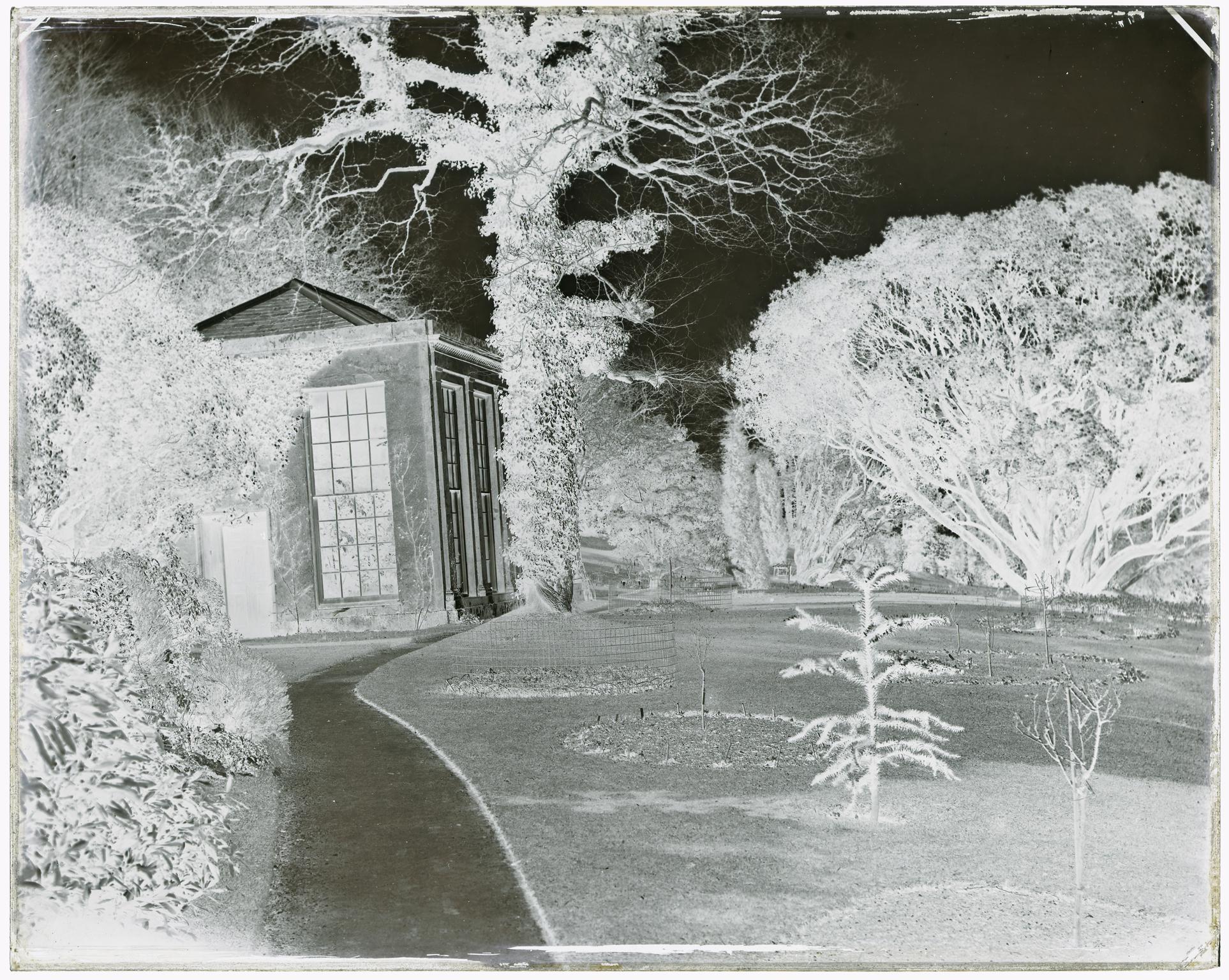 Penrice Castle, glass negative