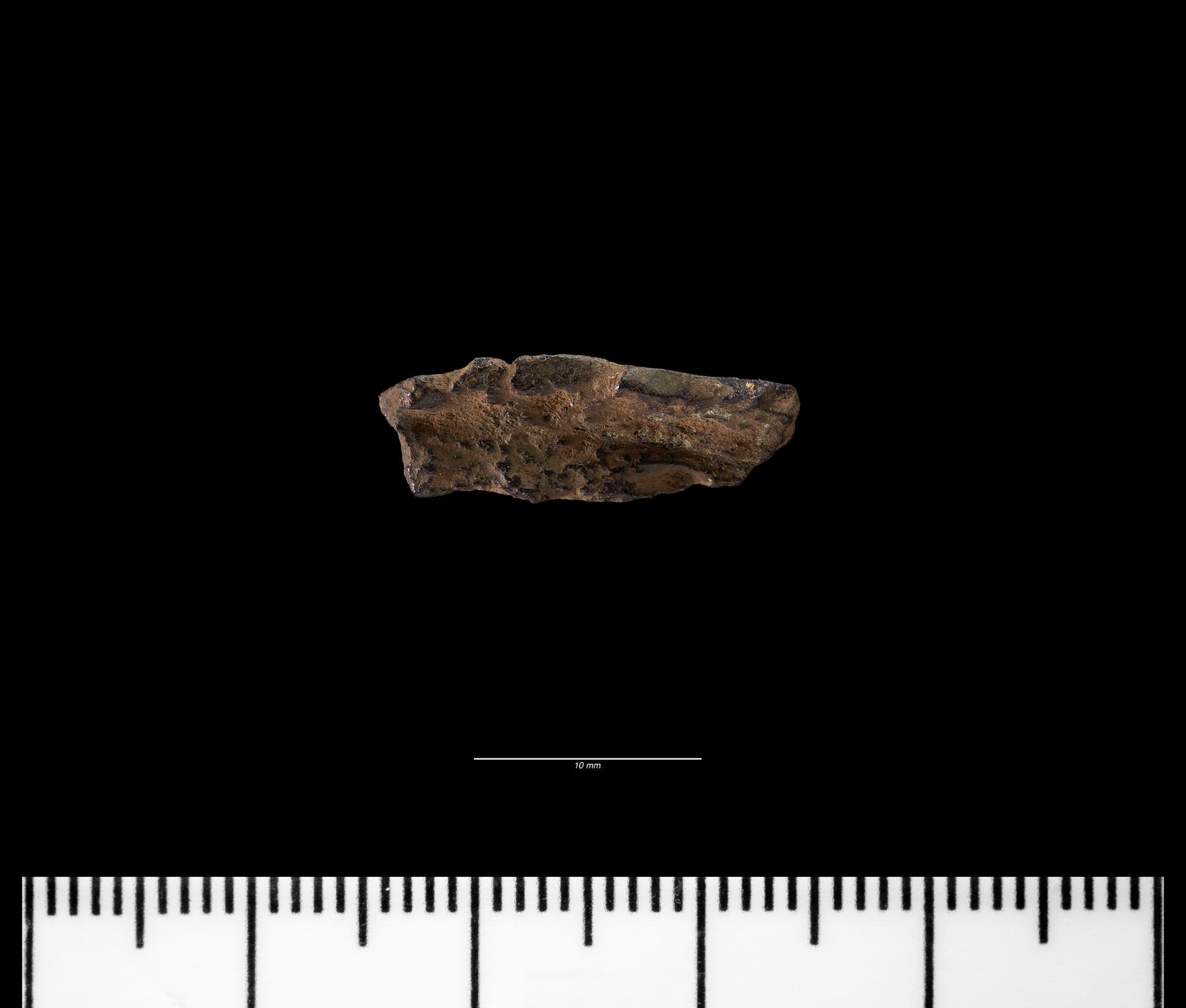 Early Medieval copper alloy object